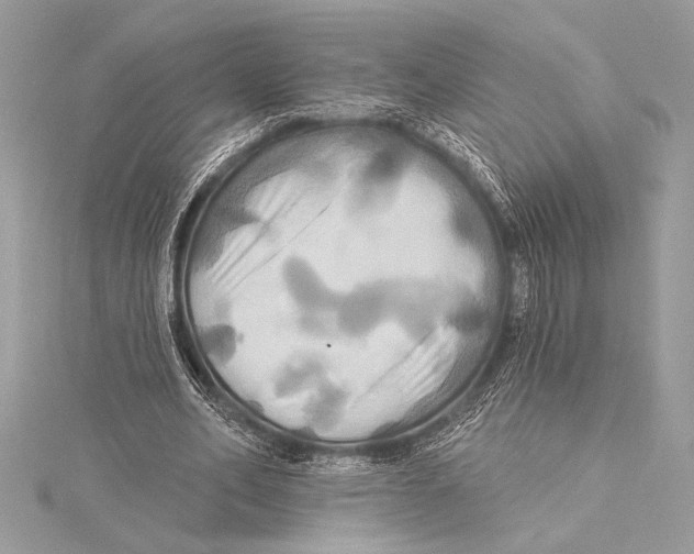 X0000115330582200911301529