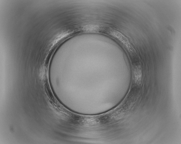 X0000115330583200911301529