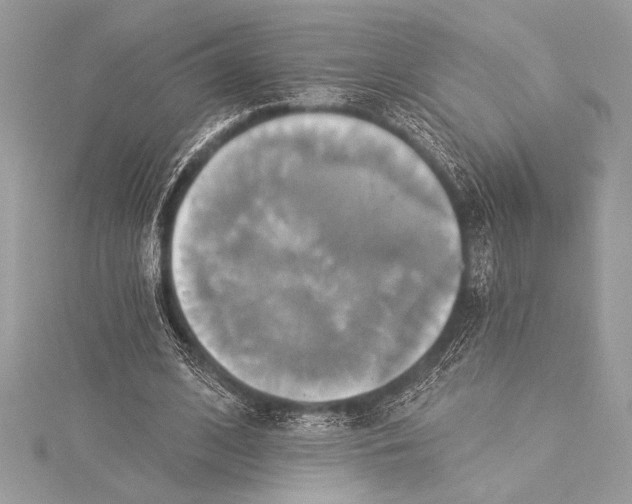 X0000115330584200911301529