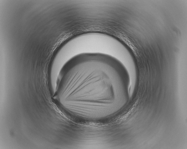 X0000115330585200911301529