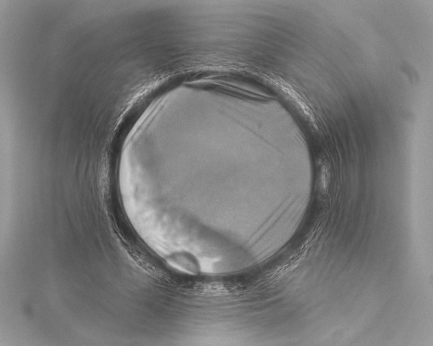 X0000115330588200911301529