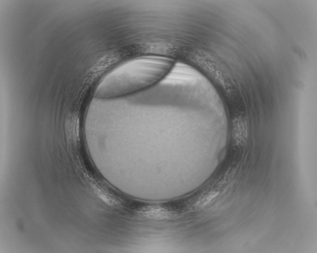 X0000115330589200911301529