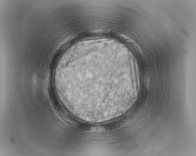 X0000115330591200911301529