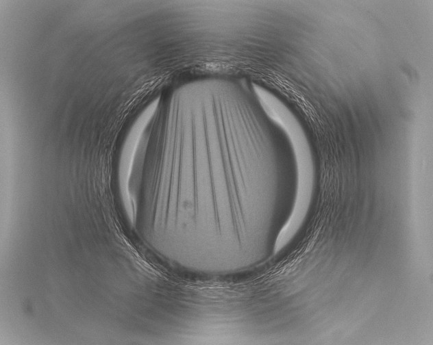 X0000115330593200911301529