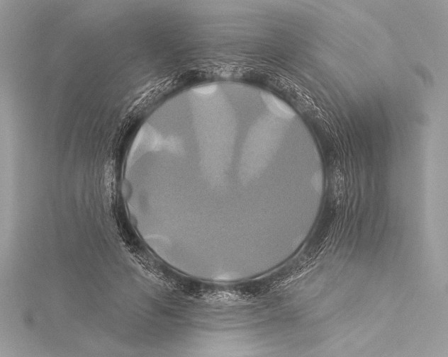 X0000115330594200911301529