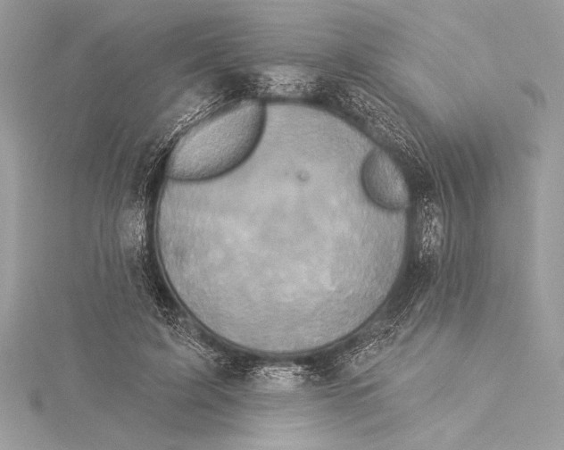 X0000115330595200911301529