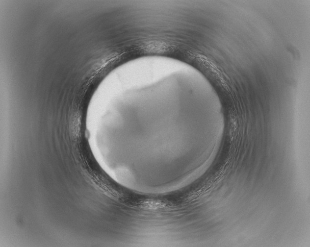 X0000115330596200911301529