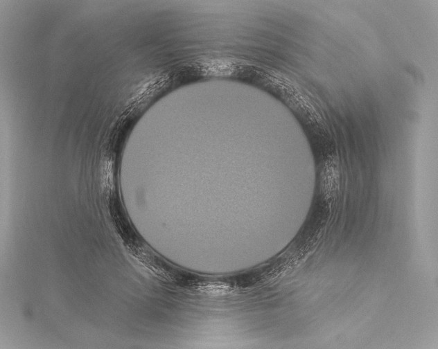 X0000115330598200911301529