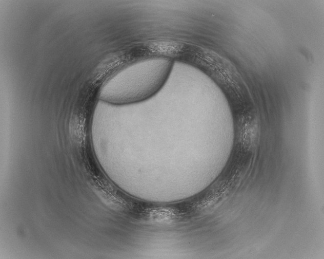 X0000115330599200911301529