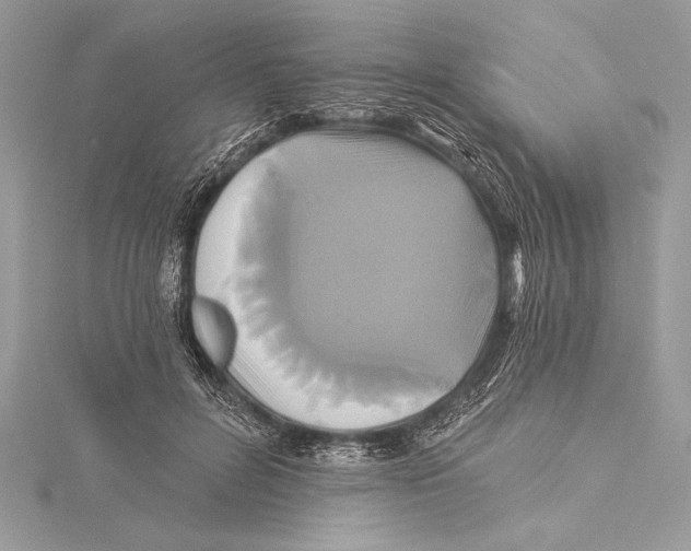 X0000115330600200911301529