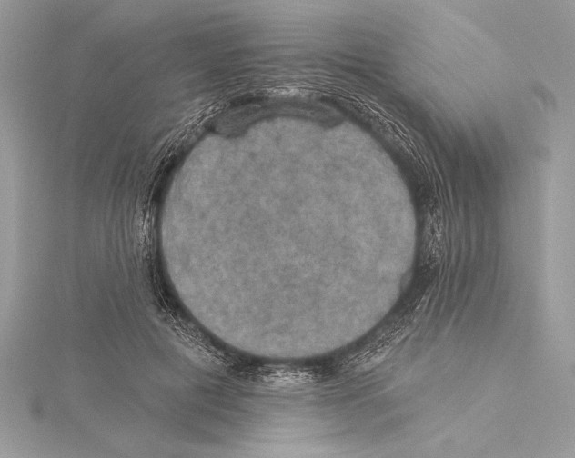 X0000115330601200911301529