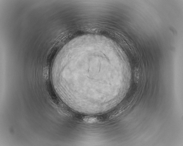 X0000115330602200911301529