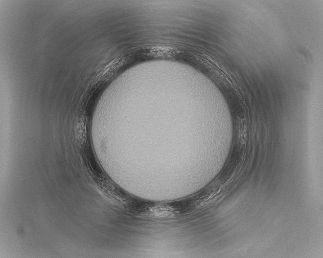 X0000115330603200911301529