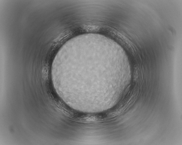 X0000115330604200911301529