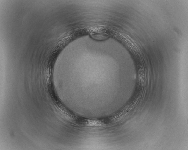 X0000115330605200911301529