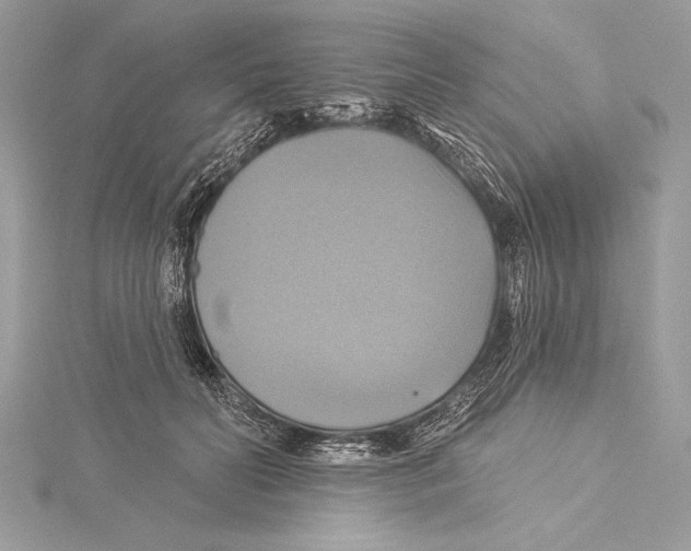 X0000115330606200911301529