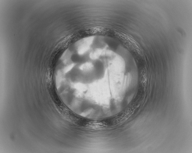 X0000115330607200911301529