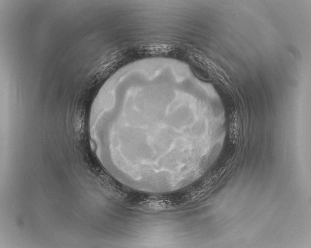 X0000115330608200911301529