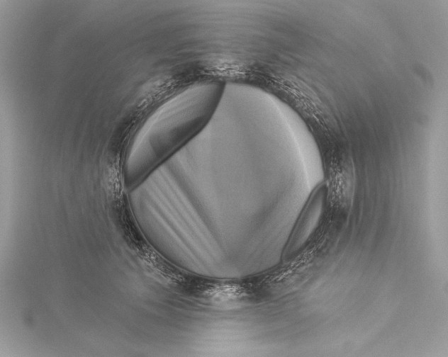 X0000115330609200911301529