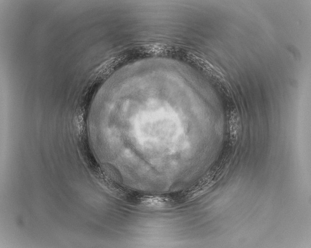 X0000115330611200911301529