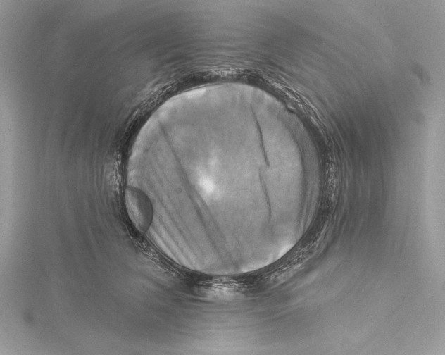 X0000115330612200911301529