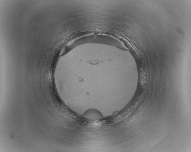 X0000115330613200911301529