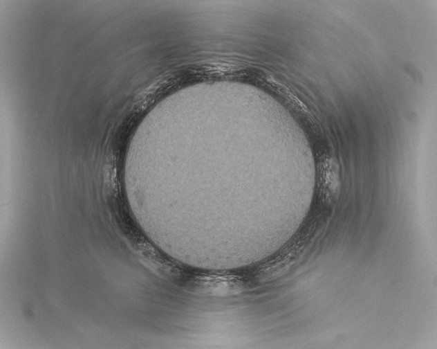 X0000115330615200911301529