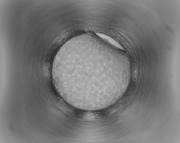 X0000115330616200911301529