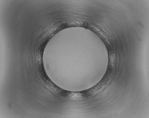 X0000115330617200911301529