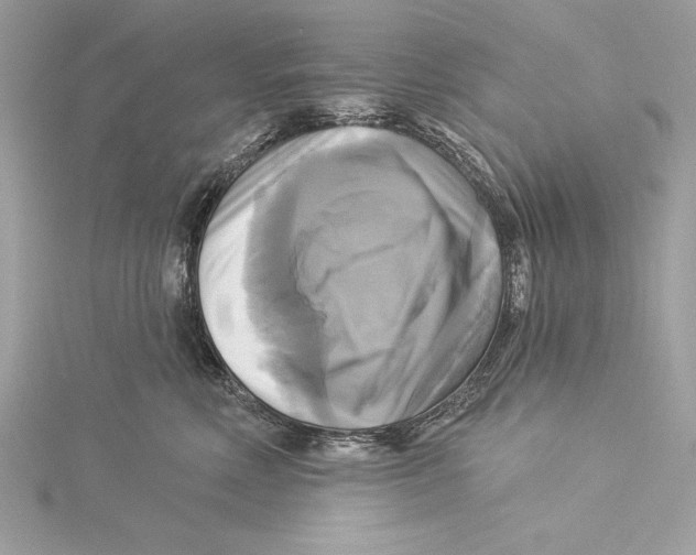 X0000115330618200911301529