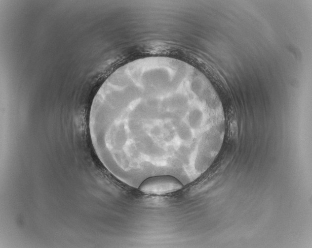 X0000115330620200911301529