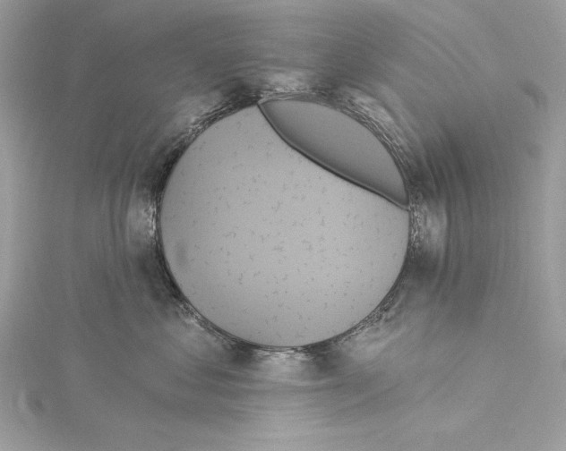 X0000115330621200911301528