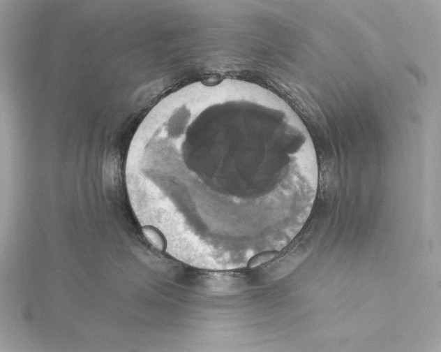 X0000115330623200911301528