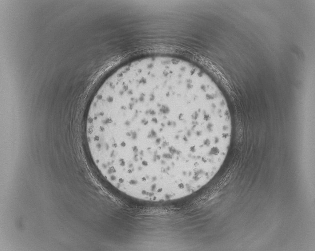 X0000115330625200911301528