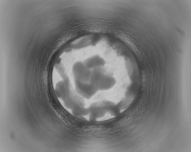 X0000115330626200911301528