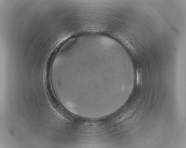 X0000115330627200911301528