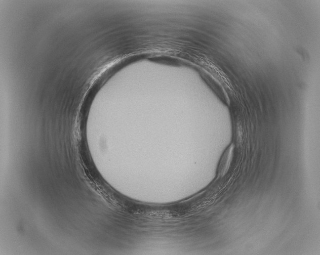 X0000115330628200911301528