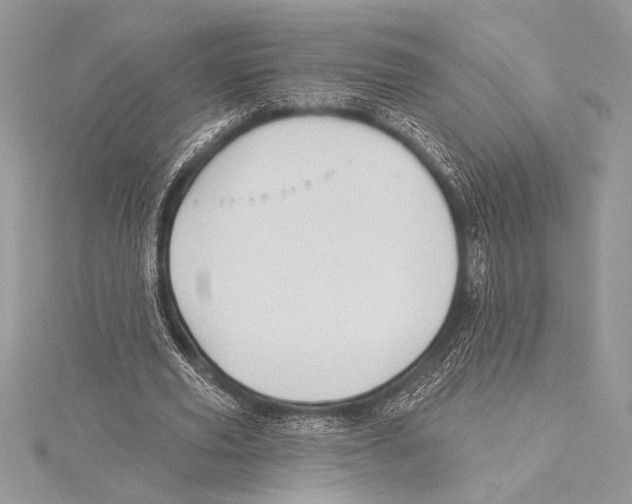 X0000115330629200911301528