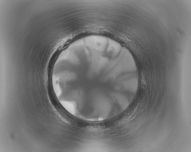 X0000115330630200911301528