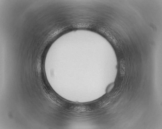 X0000115330631200911301528