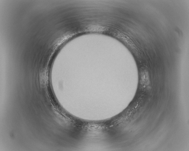 X0000115330632200911301528