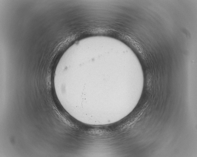 X0000115330633200911301528