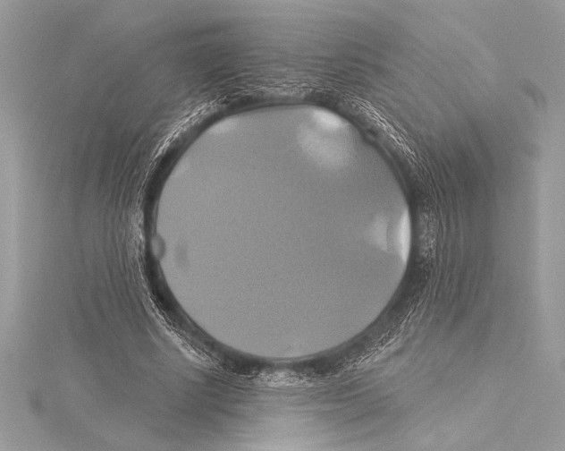 X0000115330634200911301528