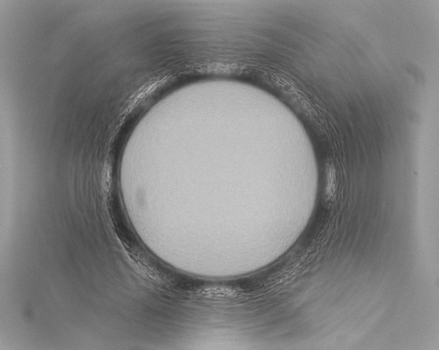 X0000115330636200911301528