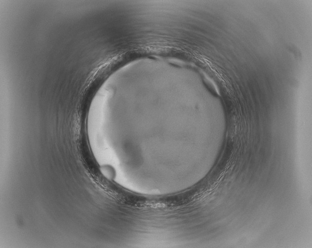 X0000115330640200911301528