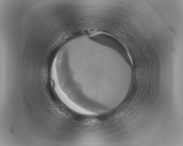 X0000115330642200911301528