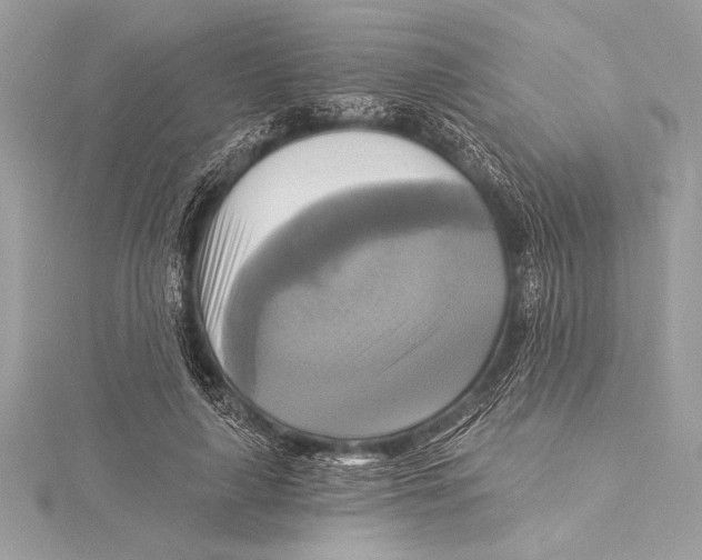 X0000115330643200911301528