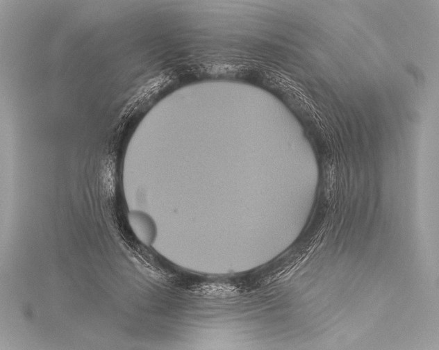 X0000115330644200911301528