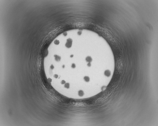 X0000115330645200911301528