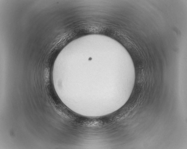 X0000115330646200911301528